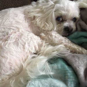 Meet your Posher, Charlene